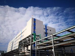 喜報 中化鋰電產(chǎn)業(yè)又一重大項(xiàng)目在浙江長興開建