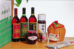 海通食品集团股份图册盛都